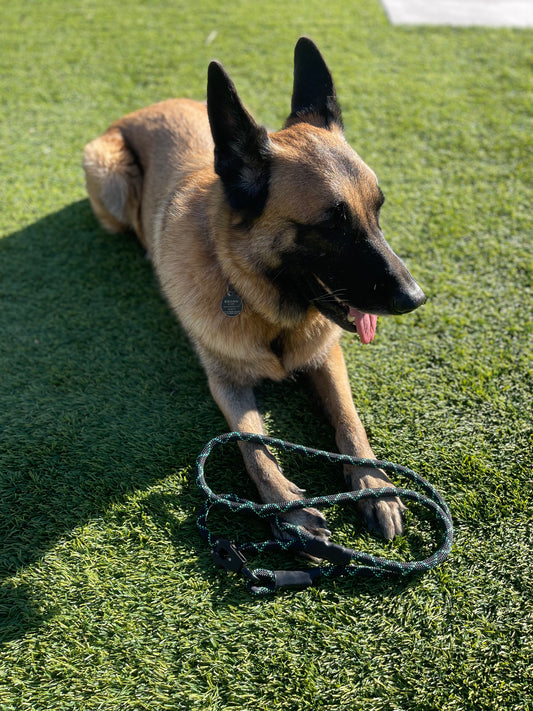 Climbing rope leash